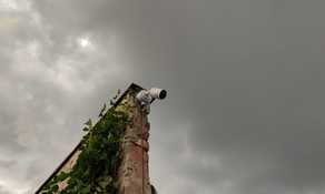 IMG_20210715_195116 (web fill).jpg