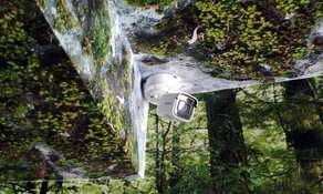 IMG_20210501_154443 (web fill).jpg