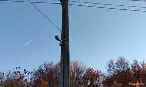 IMG_20211106_155939 (web fill).jpg