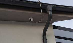 IMG_20211017_175813_1 (web fill).jpg