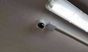 IMG_20210511_084541 (web fill).jpg