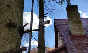 IMG_20211106_115033 (web fill).jpg