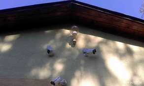 20200820_094016.jpg