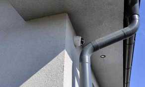IMG_20210424_161807 (web fill).jpg