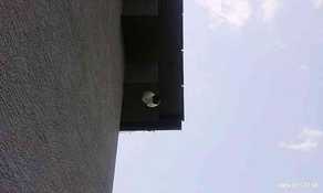 20200614_123943.jpg